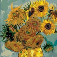 Sunflower profile picture