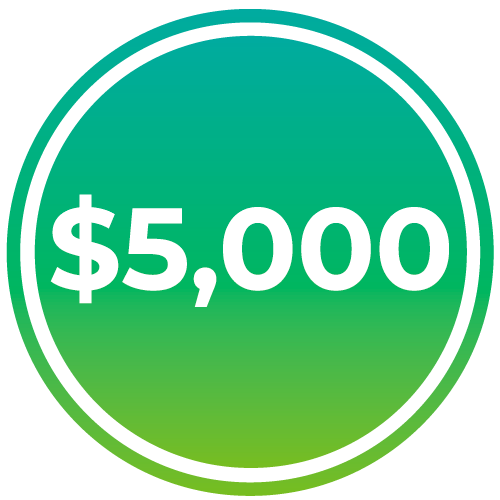 $5,000 icon