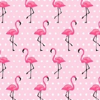 Flamingo Freshman profile picture