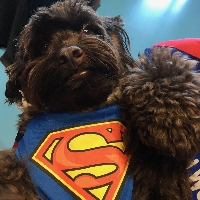 Design Woofing's Super Heroes profile picture