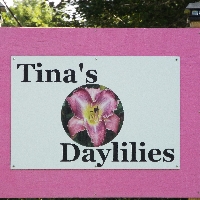 Tina's Daylilies fundraising profile picture