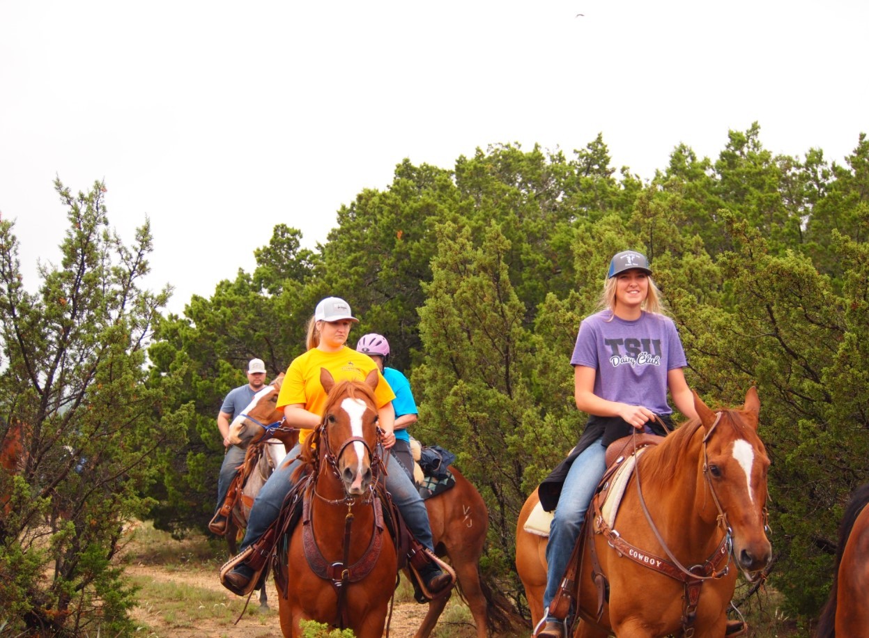 Cowboy Capital MS Trail Ride