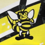 Team Sugar Bee profile picture