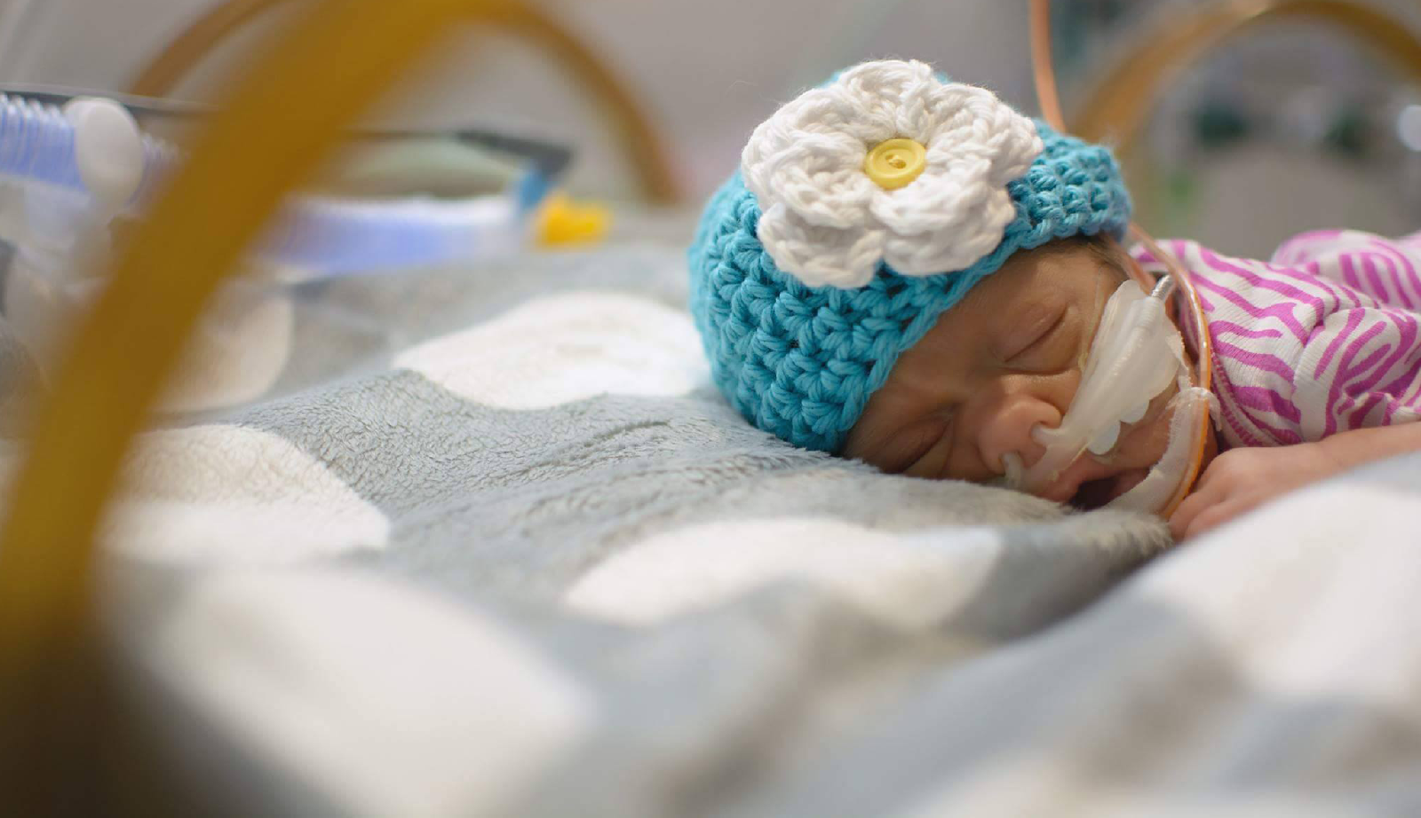 Miracle Child Daisy slumbers in an incubator in the NICU at Penn State Health Children's Hospital.