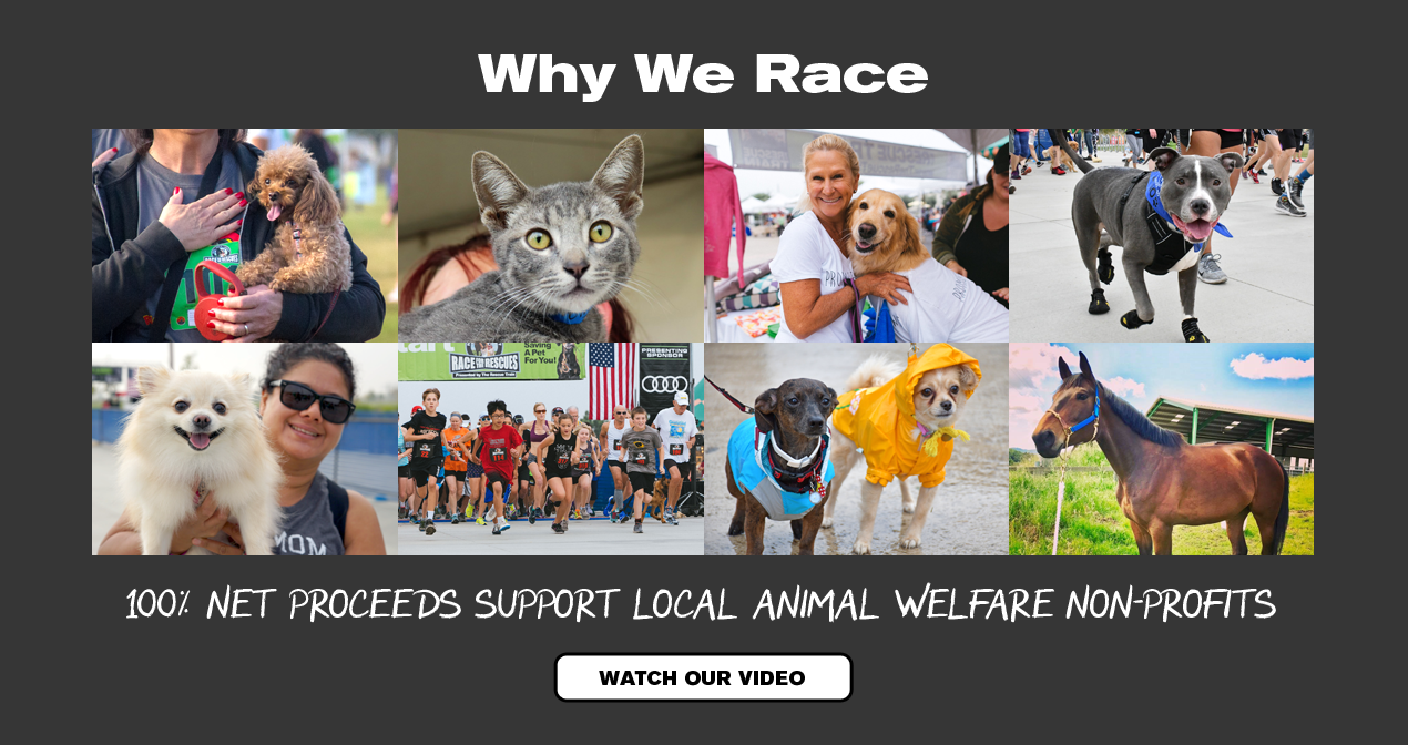 Race For The Rescues